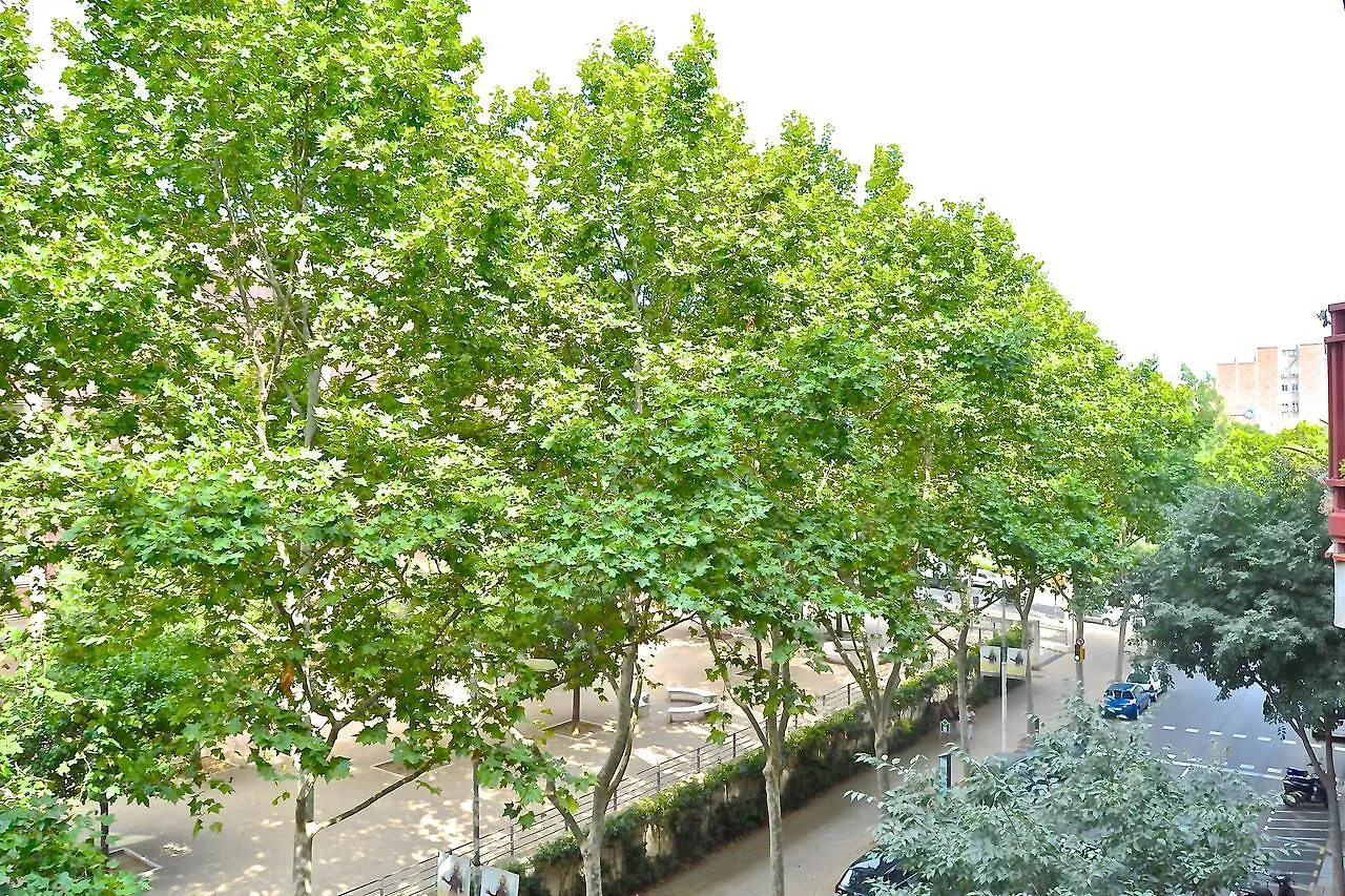 Auditori Barcellona 0*,  Spagna